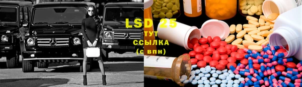 PSILOCYBIN Зеленодольск