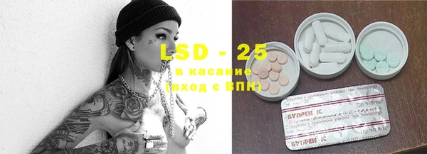 гашик Зерноград
