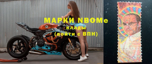 гашик Зерноград
