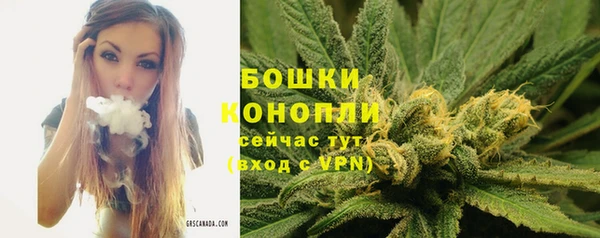 гашик Зерноград